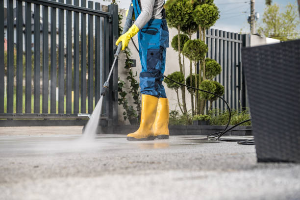 Best Parking Lot Cleaning in Pine Grove, CA