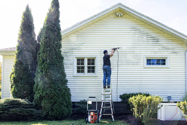 Best Driveway Cleaning and Restoration in Pine Grove, CA